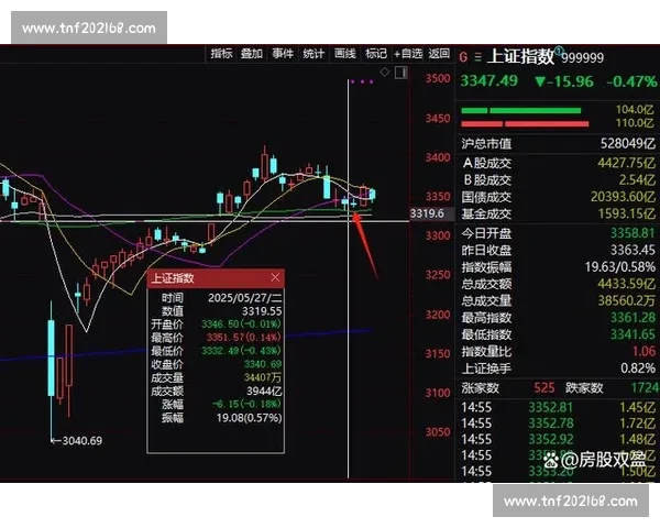 伊朗对阵中国让盘分析：胜负走势与盘口深度解读